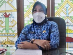 BKD Data Seluruh Tenaga Honorer Kota untuk Seleksi Jadi PNS dan P3K