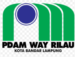 Keberadaan 5 Dewas PDAM Diduga Melanggar PP dan Permen