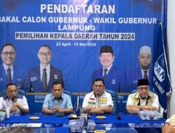 Hanan A Razak Siap Maju Pilgub Lampung Bersama Golkar-PAN