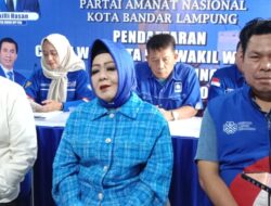 dr. Reihana Mengaku Pernah Bertemu Ketum PAN Zulhas