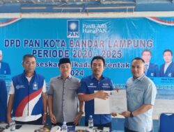 Ketua DPD PAN Puji Politisi PDI-P dan Demokrat, Duet Maut yang Cocok