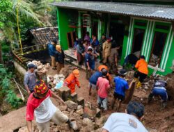 BPBD Kota Bandarlampung Himbau Pengendara Hindari Pohon Besar Saat Hujan Lebat
