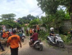 Gercep BPBD Kota Atasi Pohon Tumbang di Jalan Basuki Rahmat